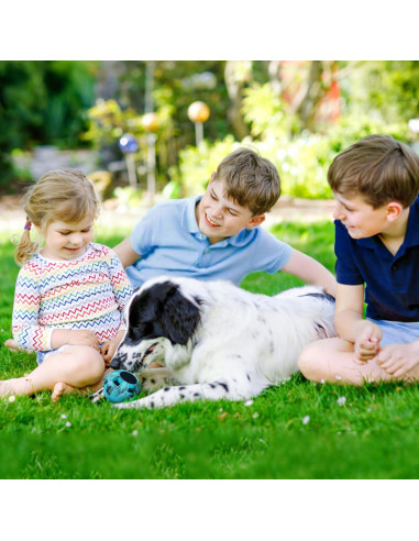 Juguete Interactivo para Perros Pequeños PetZee Azul