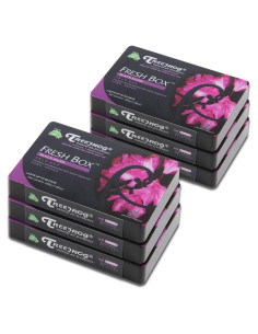 Ambientador Natural Auto Dynasty TreeFrog 6 Piezas Aroma Almizcle