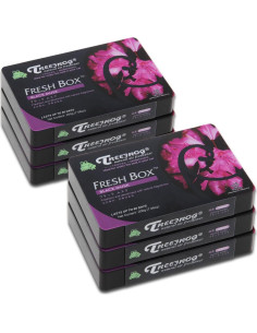 Ambientador Natural Auto Dynasty TreeFrog 6 Piezas Aroma Almizcle 2