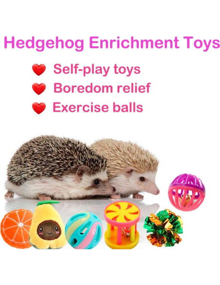 10 Juguetes de Enriquecimiento para Erizos VZqola
