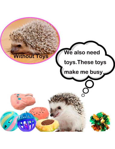 10 Juguetes de Enriquecimiento para Erizos VZqola