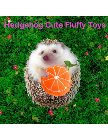 10 Juguetes de Enriquecimiento para Erizos VZqola