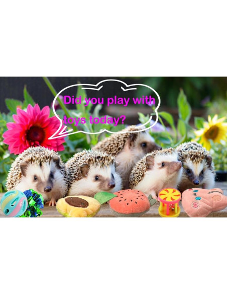 10 Juguetes de Enriquecimiento para Erizos VZqola