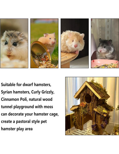 Túnel de Madera Natural Hamiledyi para Hamsters y Ratones
