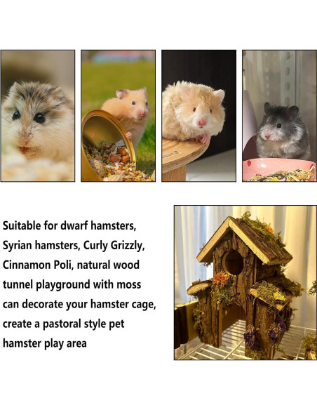 Túnel de Madera Natural Hamiledyi para Hamsters y Ratones Túnel de Madera Natural Hamiledyi para Hamsters y Ratones