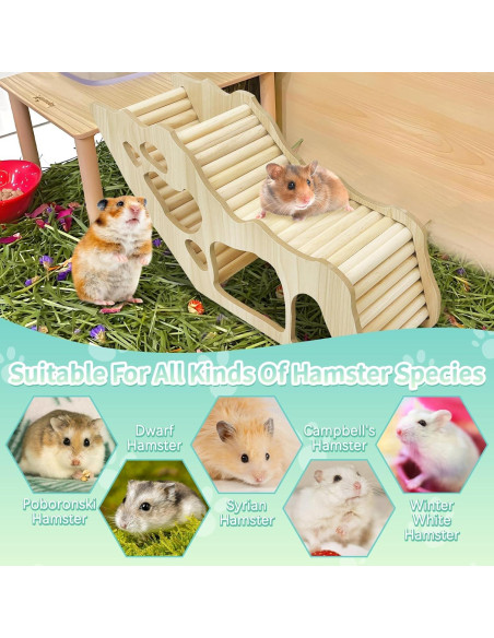 Escalera de Escalada para Hámster PINVNBY - Túnel de Madera 33x10.5x15cm