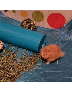 Túnel de plástico para hámster MUYG 21x10 cm 15 piezas 2