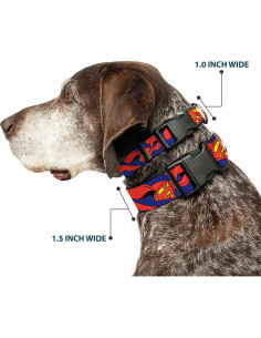 Collar de Perro Buckle-Down Superman 2.54 cm Ajustable Pequeño 2