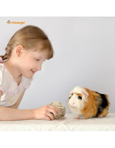 Pelotas de Masticar Naturales Niteangel para Conejos y Roedores