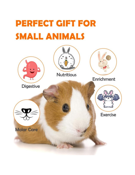 Accesorios para hámster y cobaya Sofier - Juguetes Naturales