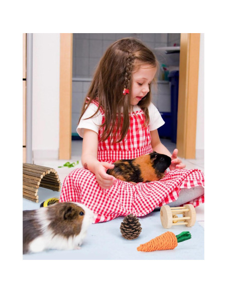Accesorios para hámster y cobaya Sofier - Juguetes Naturales