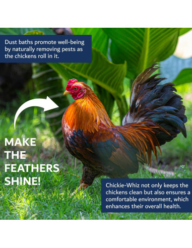 Baño de Polvo Natural para Gallinas Chickie Whiz 2.49 kg