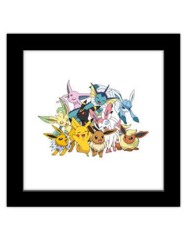 Arte de Pared Gallery Pops Pokémon Kalos 30.48x30.48cm Marco Negro