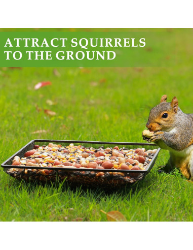 Bandeja Alimentador de Aves MIXXIDEA 28x28 cm Metal Duradero