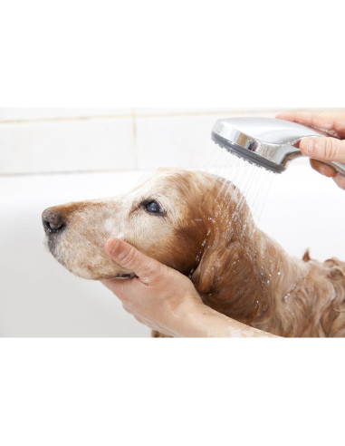 Champú de Cúrcuma Dorada Pet Silk 453.6g - Hidrata y Repara Pelaje