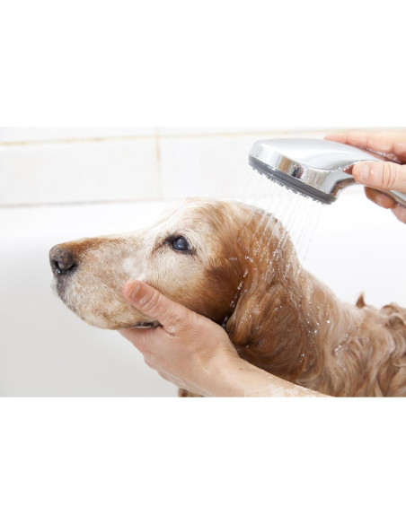 Champú de Cúrcuma Dorada Pet Silk 453.6g - Hidrata y Repara Pelaje