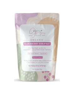 Kit de Jarabe de Sábila Orgánico Simply Ginger 680g DIY