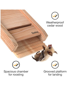 Casa de Murciélagos Kenley de Madera de Cedro - 1 Cámara 2