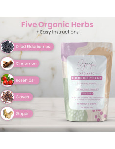 Kit de Jarabe de Sábila Orgánico Simply Ginger 680g DIY 2