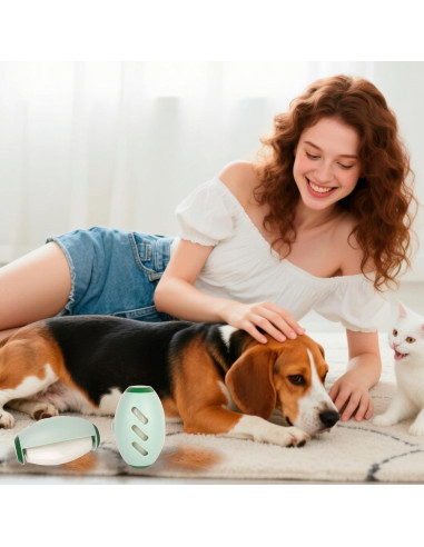 Rodillo Quitapelusas Reutilizable Beibunhn 2 Pcs Verde