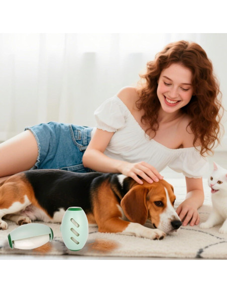 Rodillo Quitapelusas Reutilizable Beibunhn 2 Pcs Verde