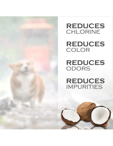 10 Filtros de Agua de Carbón IT'S PURE EXPERT para Pioneer Pet