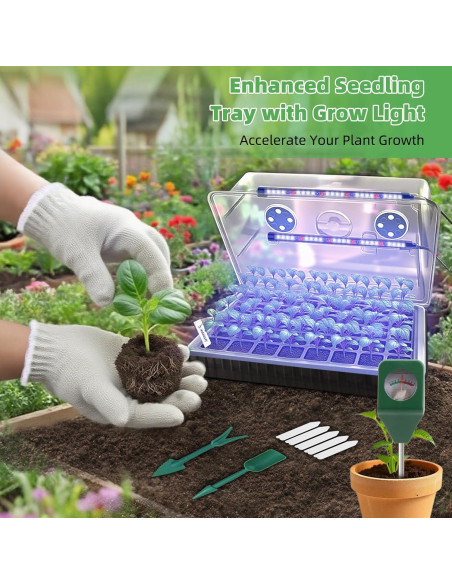 Kit de Inicio de Semillas Autorriego Terronix 120 Celdas