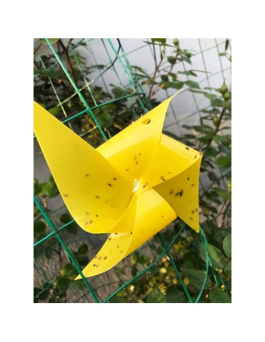 Trampas Adhesivas Amarillas Faicuk 20 Unidades para Insectos