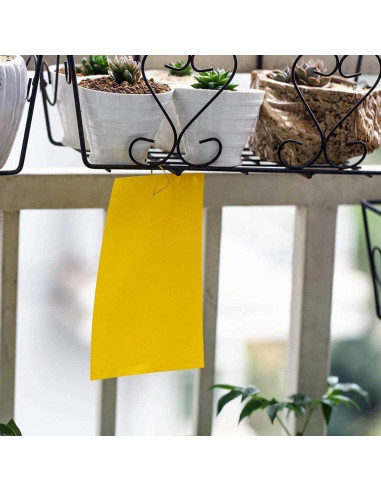 Trampas Adhesivas Amarillas Faicuk 20 Unidades para Insectos