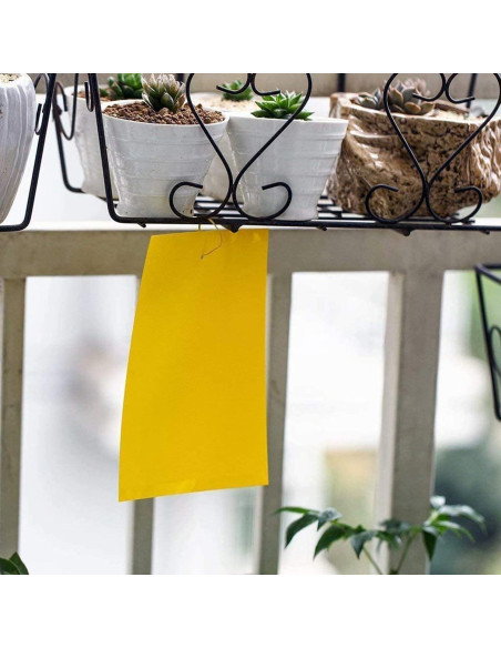 Trampas Adhesivas Amarillas Faicuk 20 Unidades para Insectos