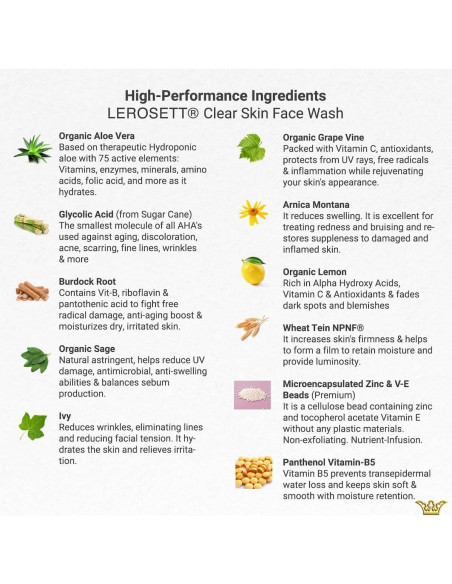 LEROSETT Limpiador Facial Gel Aloe 190.5g - Vegano Spa