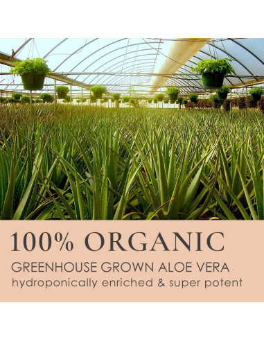 LEROSETT Limpiador Facial Gel Aloe 190.5g - Vegano Spa