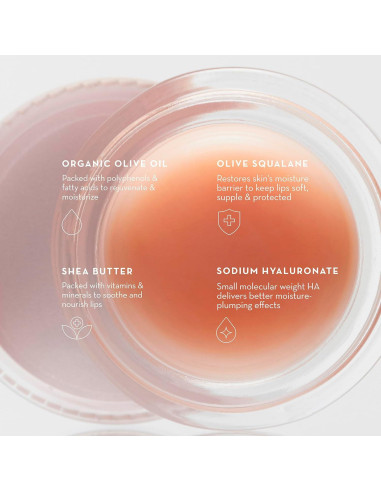 Dúo Tratamiento Labial Triple Oliva 8ml - Exfoliante y Bálsamo Hidratante