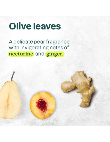 Acondicionador Hidratante ATTITUDE 946 ml - Cabello Seco y Dañado