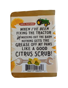 Jabón de Barra Natural Filthy Farmgirl 142g Jengibre Cítrico 2