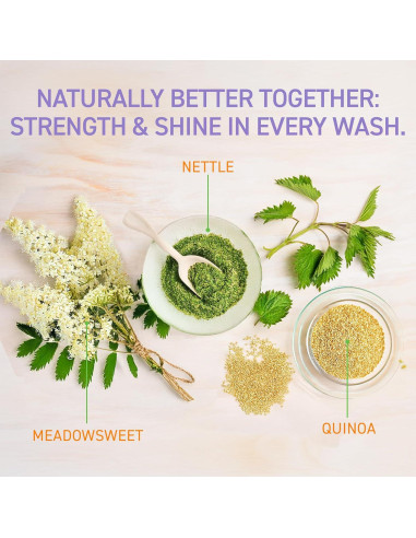 Champú y Acondicionador Herbal Fairy Tales 340 g para Cabello Graso