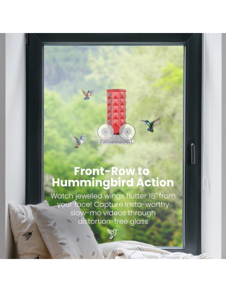 Alimentador de Colibríes MrCrafts 2Pcs Ventana 0.47L Vidrio Rojo