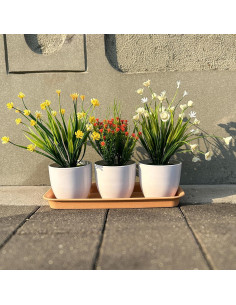 Bandeja Rectangular de Plástico Cozyou 27x10.67 cm Marrón Claro 2