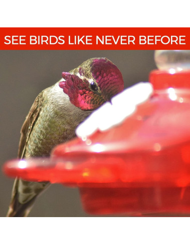 Alimentador de Colibríes Nature Anywhere 710 ml A Prueba de Fugas