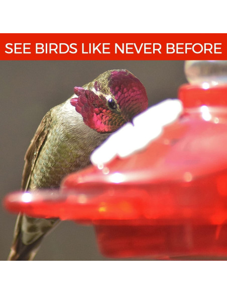 Alimentador de Colibríes Nature Anywhere 710 ml A Prueba de Fugas