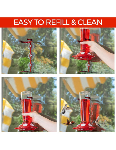 Alimentador de Colibríes Nature Anywhere 710 ml A Prueba de Fugas