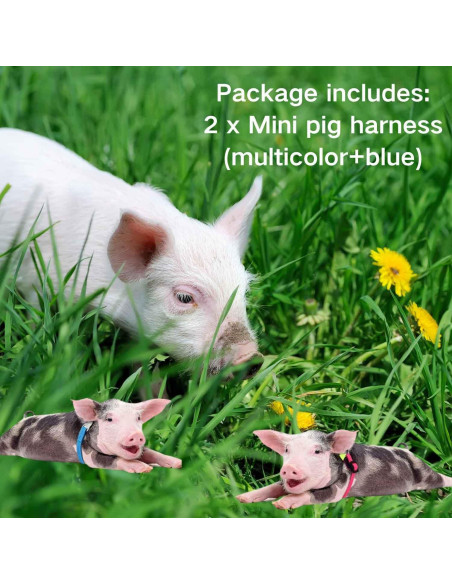 Juego de 2 Arnés y Correa Ajustable para Cerdo Mini TTMIMIK Juego de 2 Arnés y Correa Ajustable para Cerdo Mini TTMIMIK