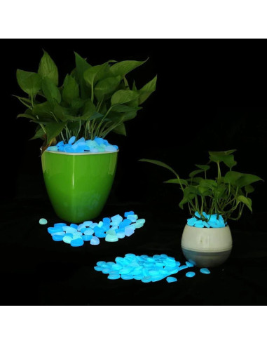 Guijarros Brillantes en la Oscuridad GeniusCells 20cm 0.45kg