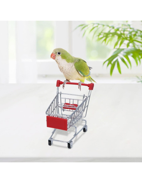 Juguetes para Aves Wontee - 3 Piezas: Carrito, Patineta, Anillo