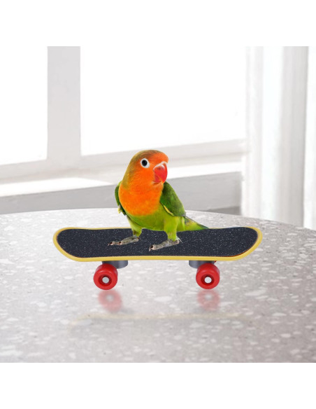 Juguetes para Aves Wontee - 3 Piezas: Carrito, Patineta, Anillo