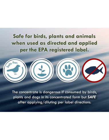 Algicida y Clarificador Sanco 0.95L para Estanques y Fuentes