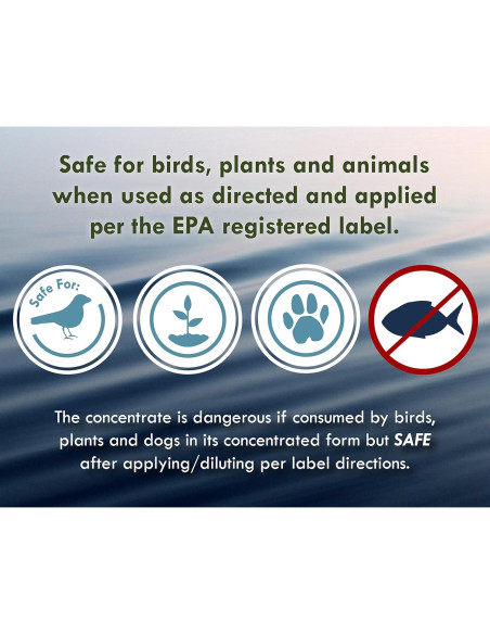 Algicida y Clarificador Sanco 0.95L para Estanques y Fuentes