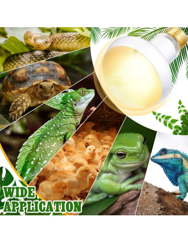 Bombillas de Calor 75W Retisee para Reptiles - Pack de 4