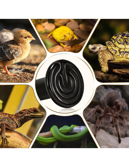 Lámpara de Calor Cerámico NEPTONION 100W para Reptiles