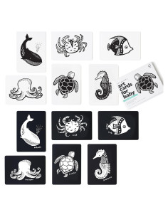 Tarjetas de Arte Wee Gallery Animales del Océano 5x7"